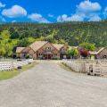 Exploring the Rules and Regulations for Riding Arenas in Contra Costa County, CA