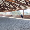 The Best Time to Use Riding Arenas in Contra Costa County, CA