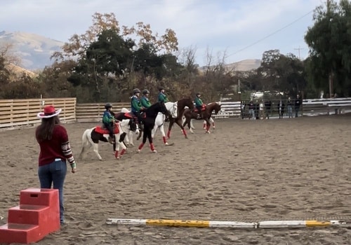 Exploring Dressage-Specific Riding Arenas in Contra Costa County, CA