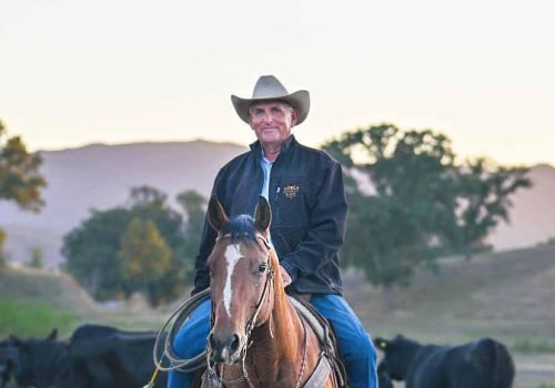 The Process of Reporting Issues at Riding Arenas in Contra Costa County, CA